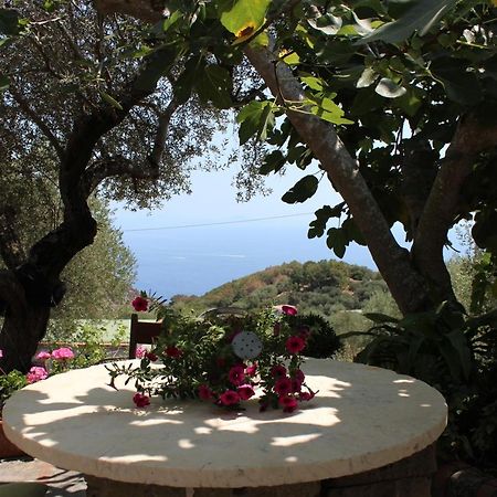 Casa Josella Villa Massa Lubrense Bagian luar foto