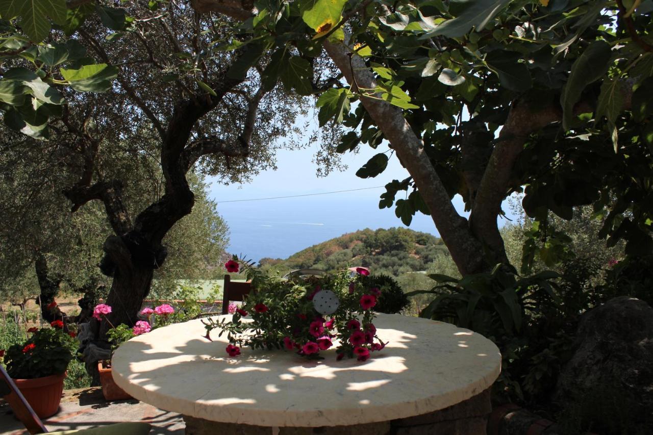 Casa Josella Villa Massa Lubrense Bagian luar foto