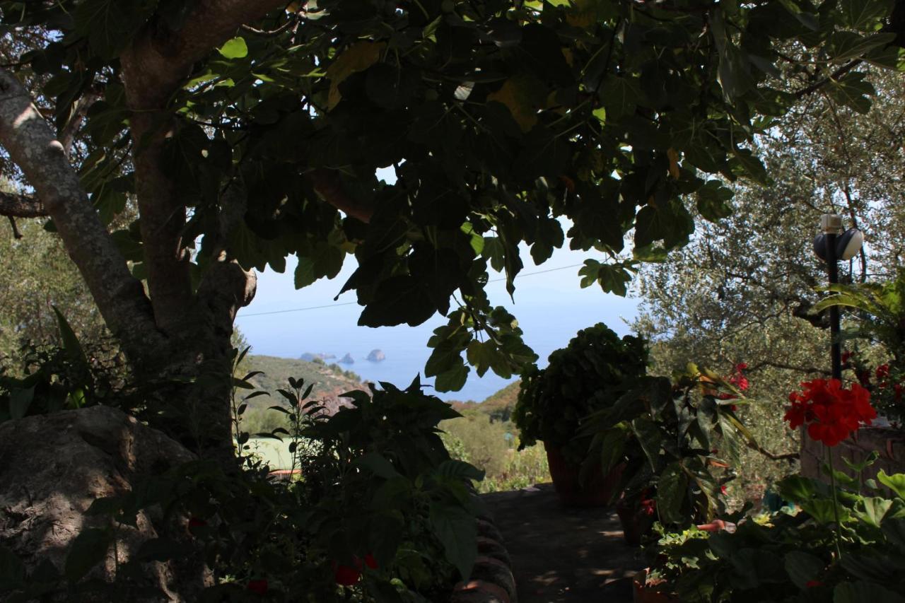 Casa Josella Villa Massa Lubrense Bagian luar foto