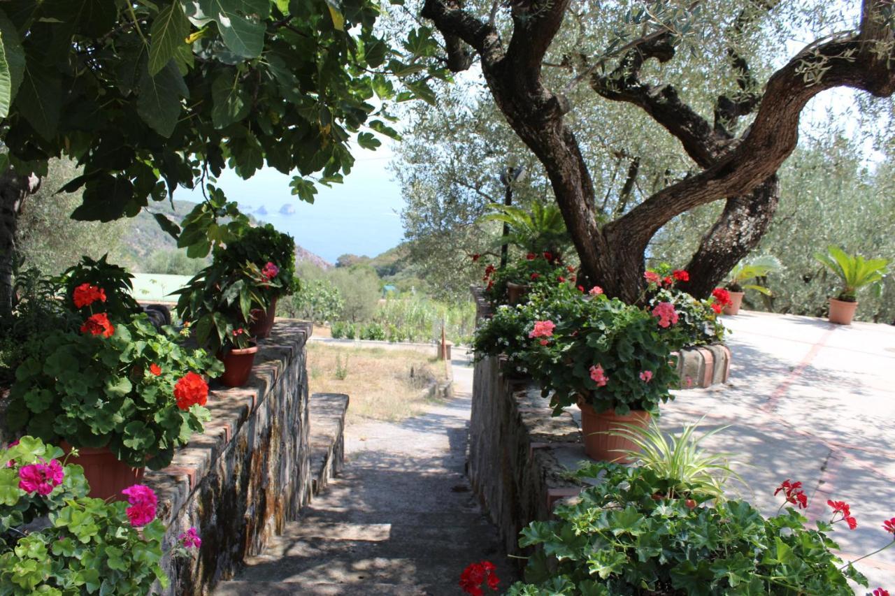 Casa Josella Villa Massa Lubrense Bagian luar foto