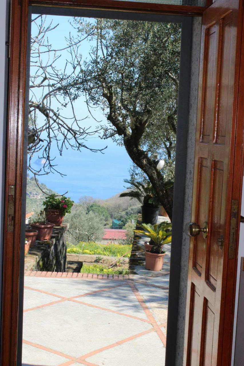 Casa Josella Villa Massa Lubrense Bagian luar foto