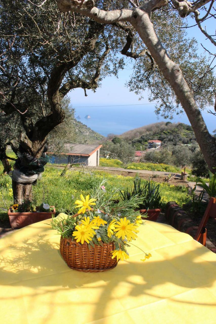 Casa Josella Villa Massa Lubrense Bagian luar foto