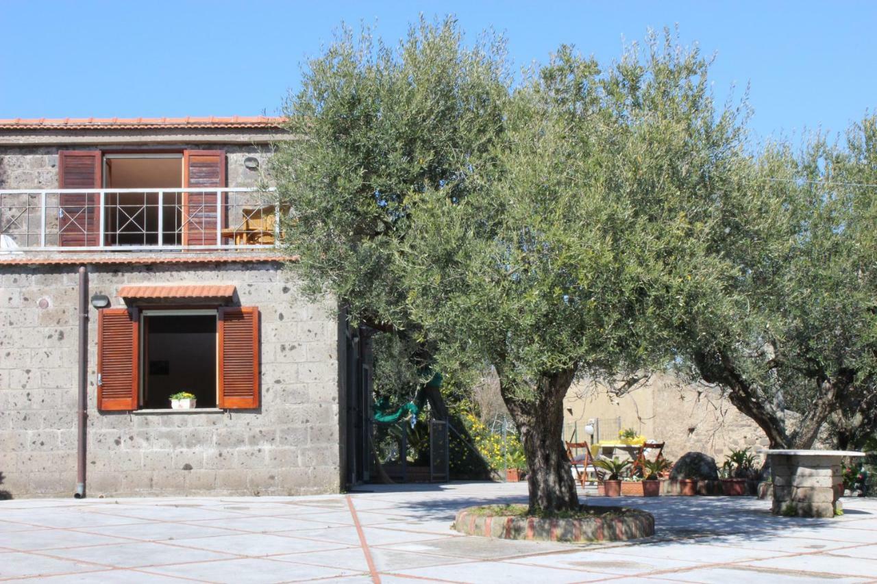 Casa Josella Villa Massa Lubrense Bagian luar foto