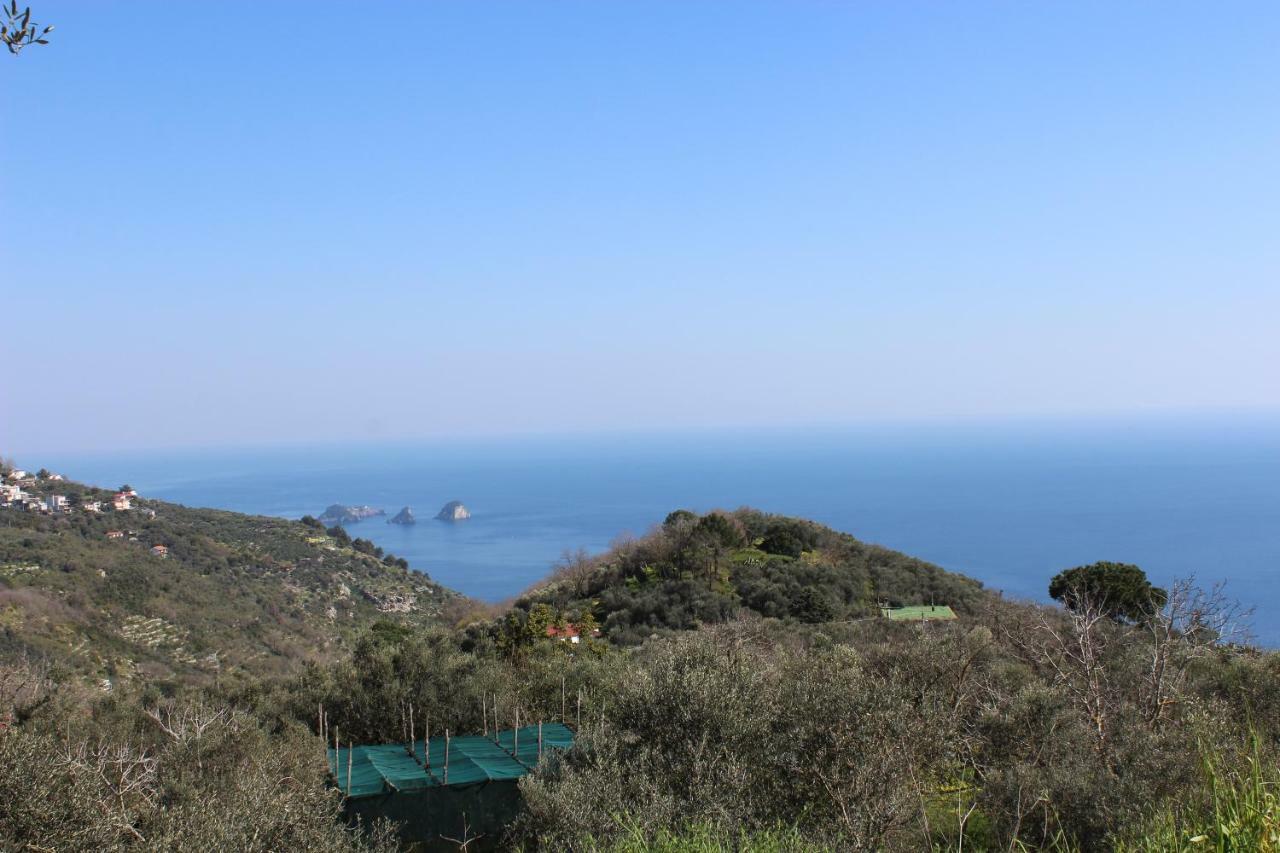 Casa Josella Villa Massa Lubrense Bagian luar foto