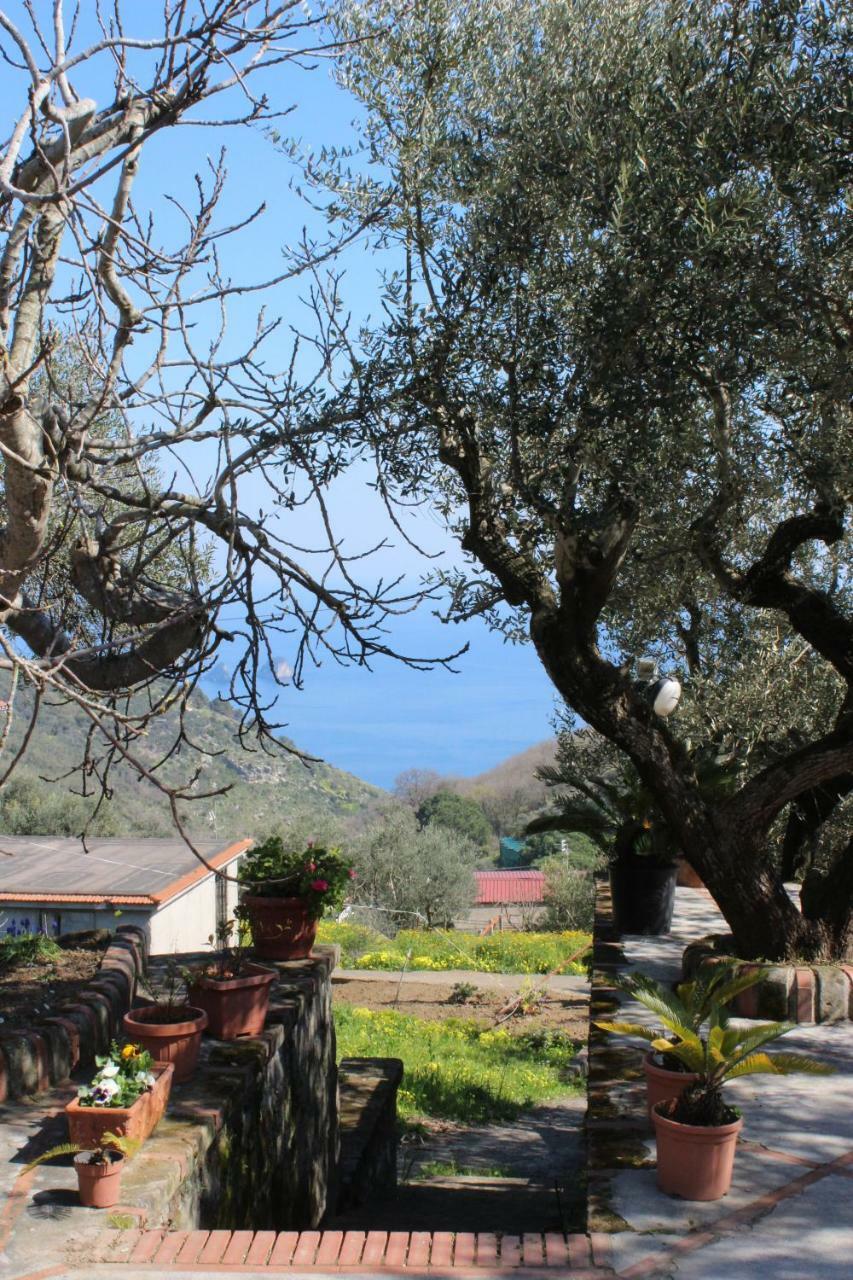 Casa Josella Villa Massa Lubrense Bagian luar foto