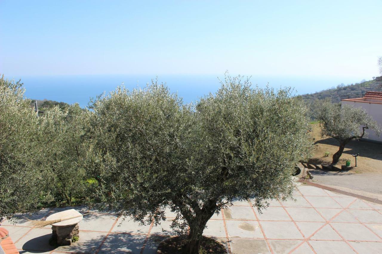 Casa Josella Villa Massa Lubrense Bagian luar foto