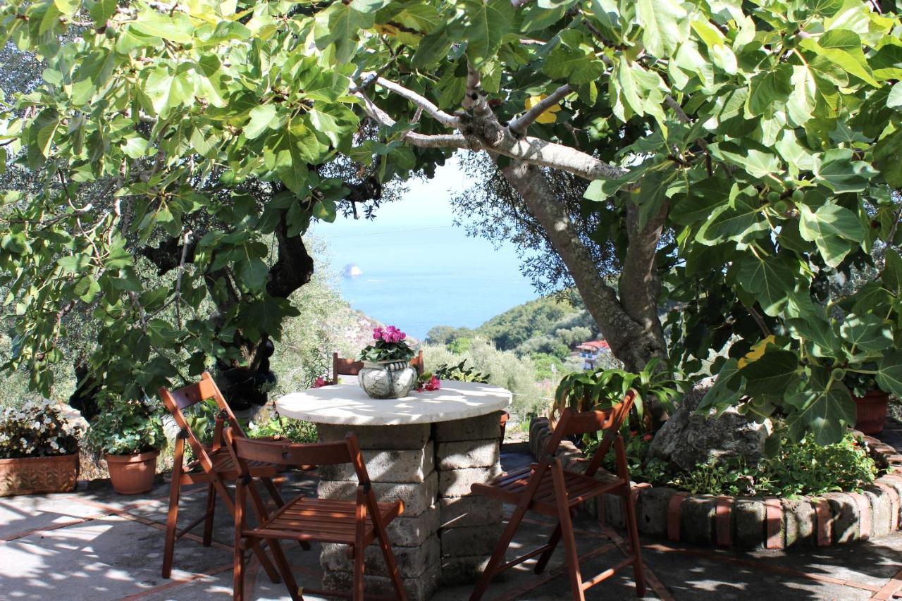 Casa Josella Villa Massa Lubrense Bagian luar foto