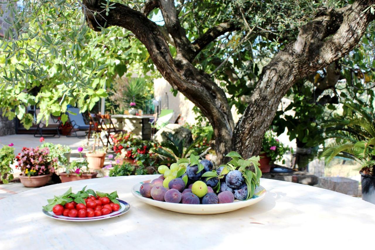 Casa Josella Villa Massa Lubrense Bagian luar foto
